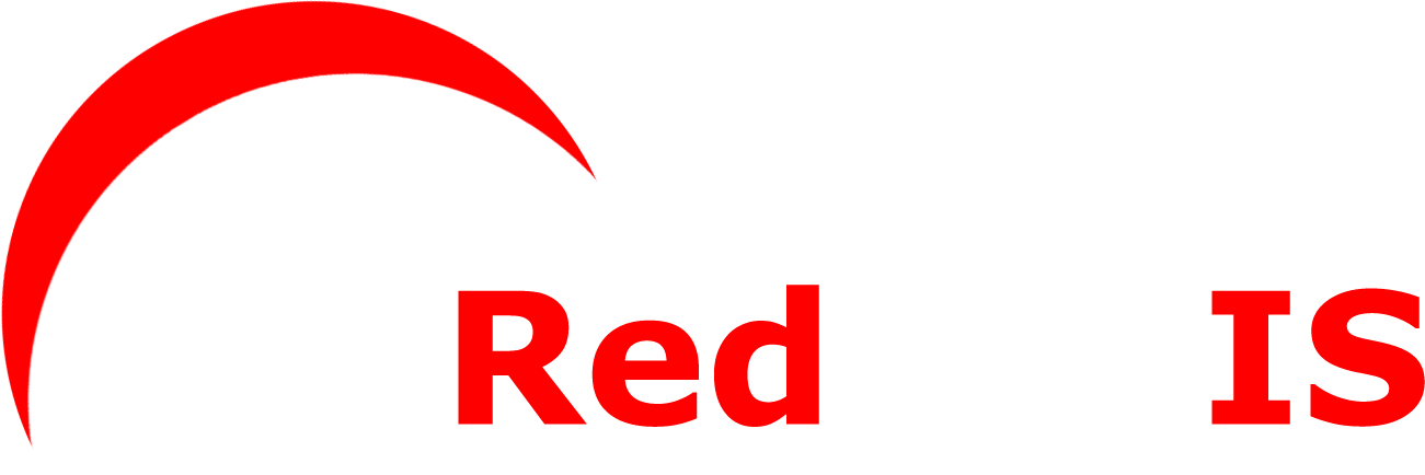 RedLabIS IT Consulting