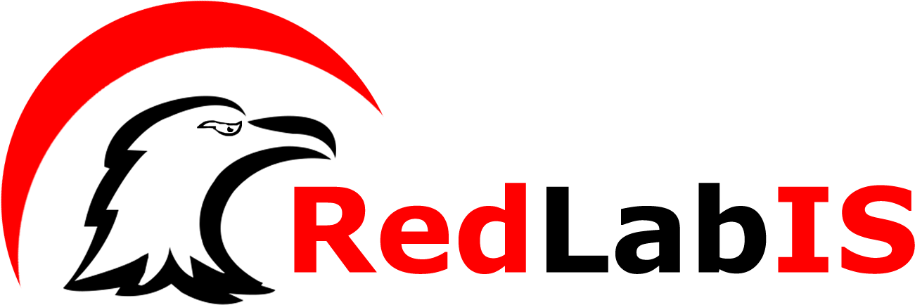 RedLabIS IT Consulting